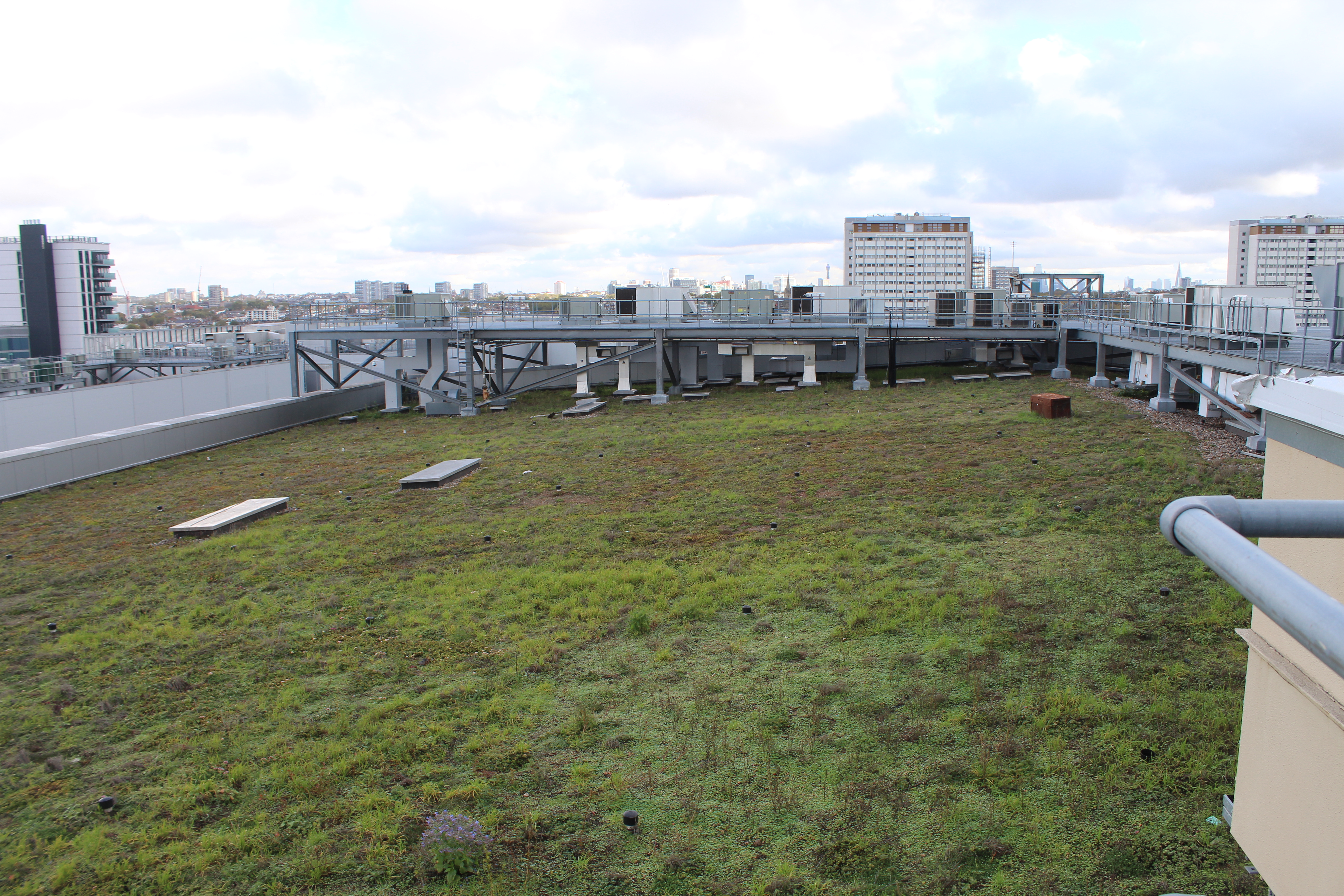  Green roof build up including universal primer and widopan fd.JP